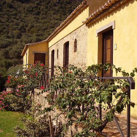 Azienda Agrituristica Biologica Il Querceto Santa Severina ภายนอก รูปภาพ