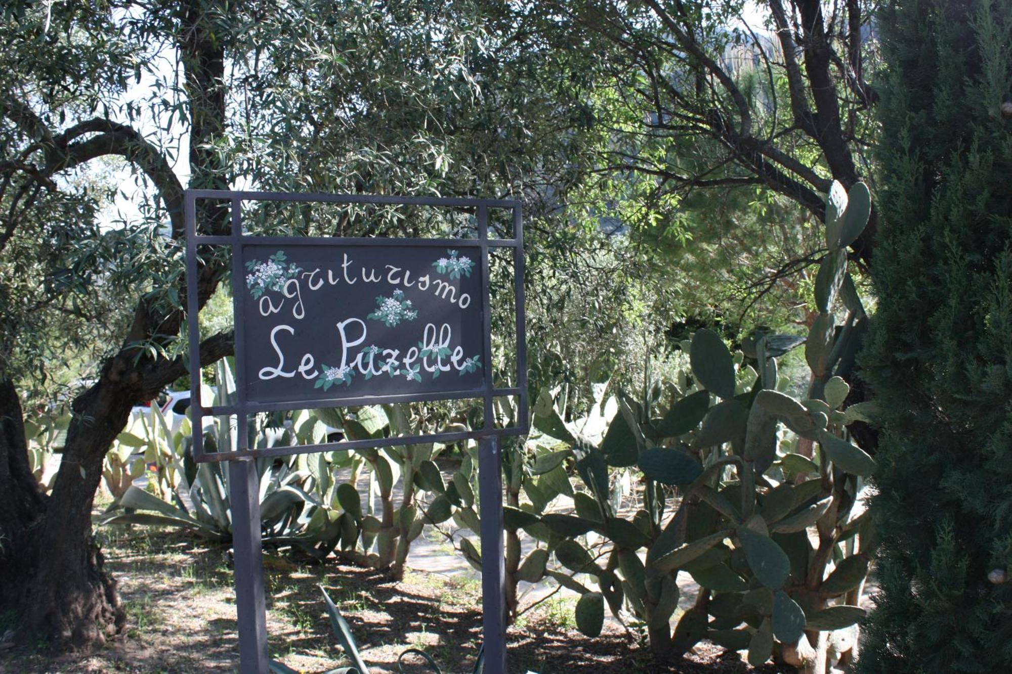 Azienda Agrituristica Biologica Il Querceto Santa Severina ภายนอก รูปภาพ