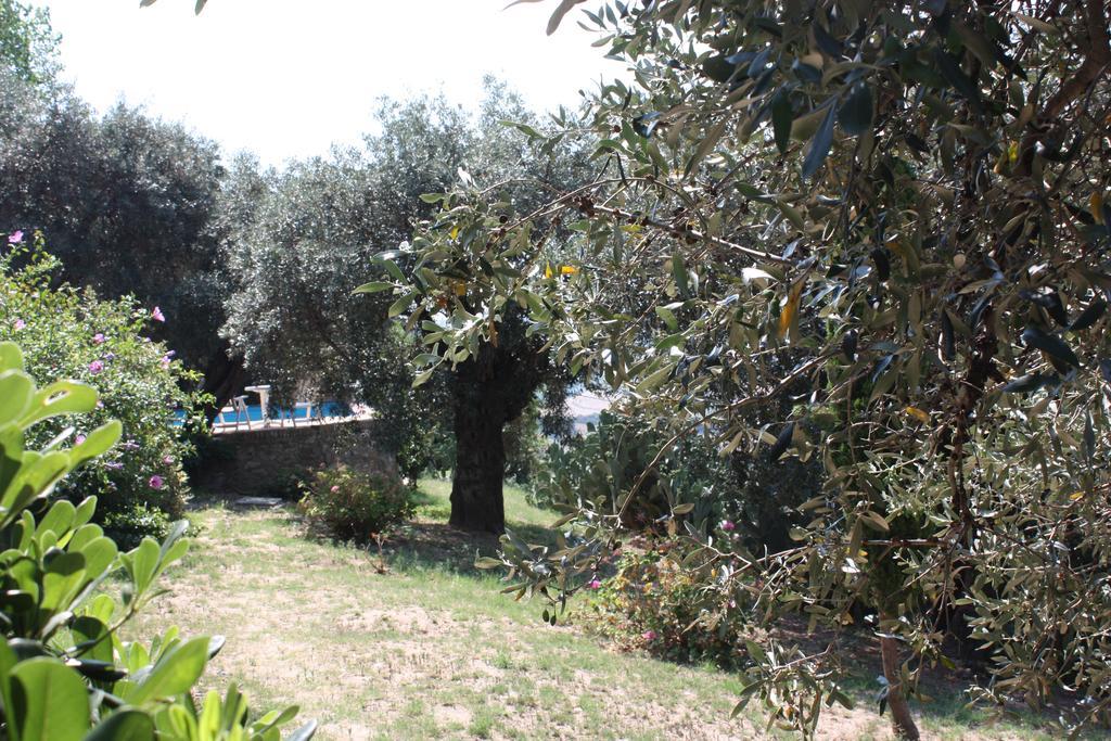 Azienda Agrituristica Biologica Il Querceto Santa Severina ภายนอก รูปภาพ