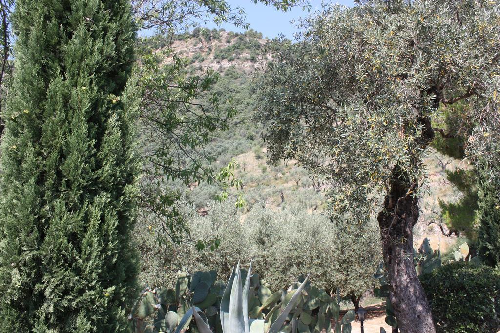 Azienda Agrituristica Biologica Il Querceto Santa Severina ภายนอก รูปภาพ