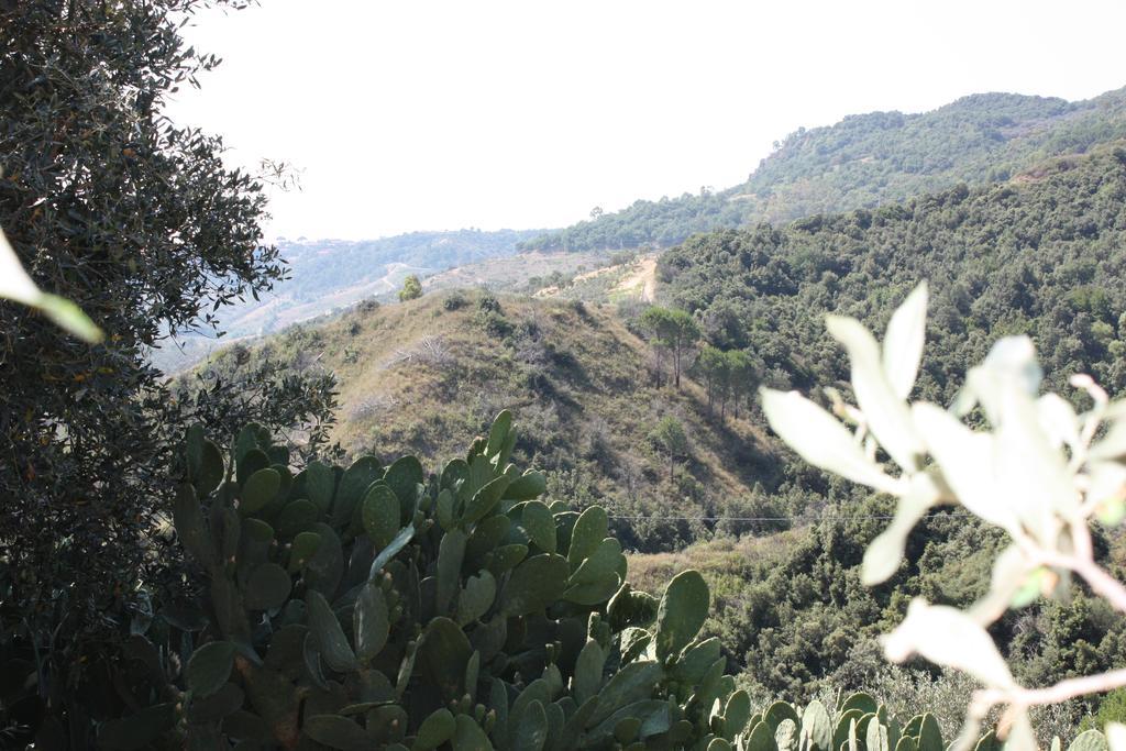 Azienda Agrituristica Biologica Il Querceto Santa Severina ภายนอก รูปภาพ