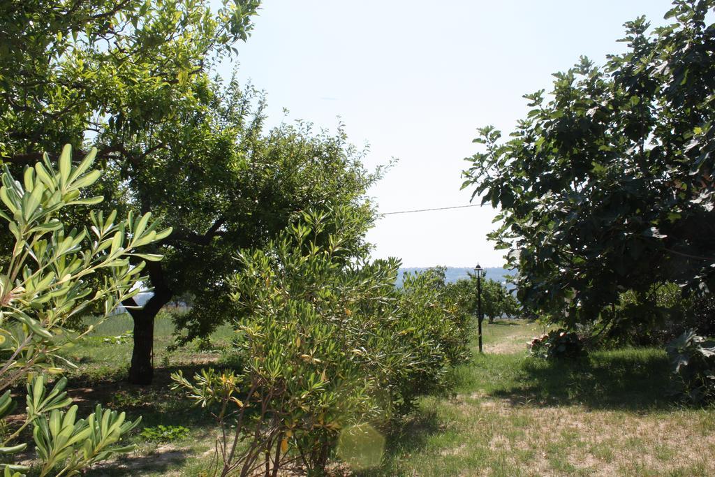 Azienda Agrituristica Biologica Il Querceto Santa Severina ภายนอก รูปภาพ
