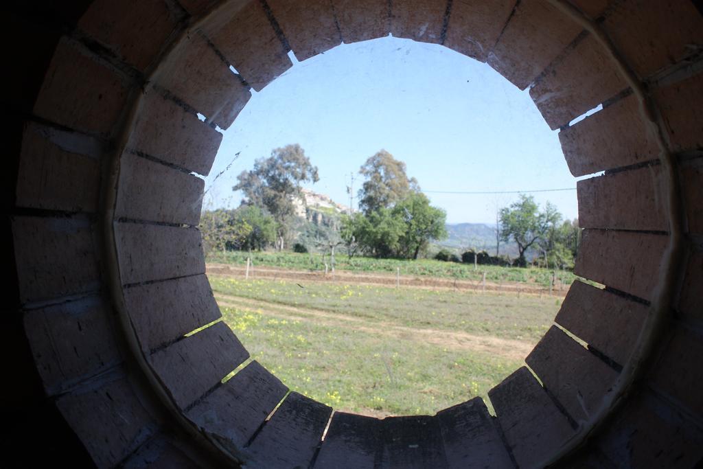 Azienda Agrituristica Biologica Il Querceto Santa Severina ภายนอก รูปภาพ