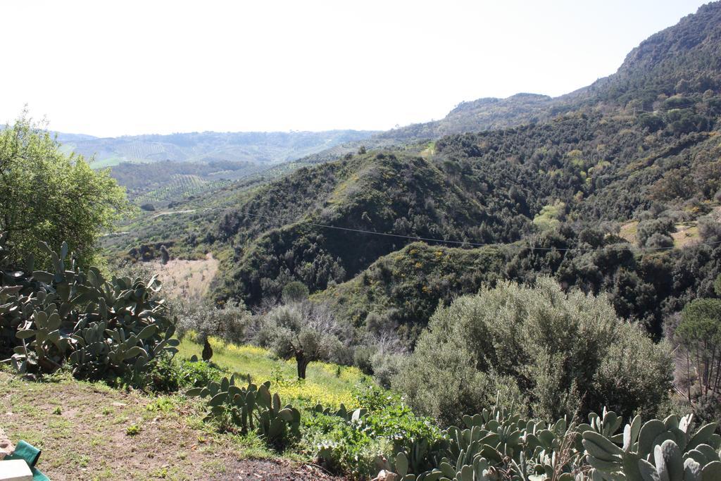 Azienda Agrituristica Biologica Il Querceto Santa Severina ภายนอก รูปภาพ