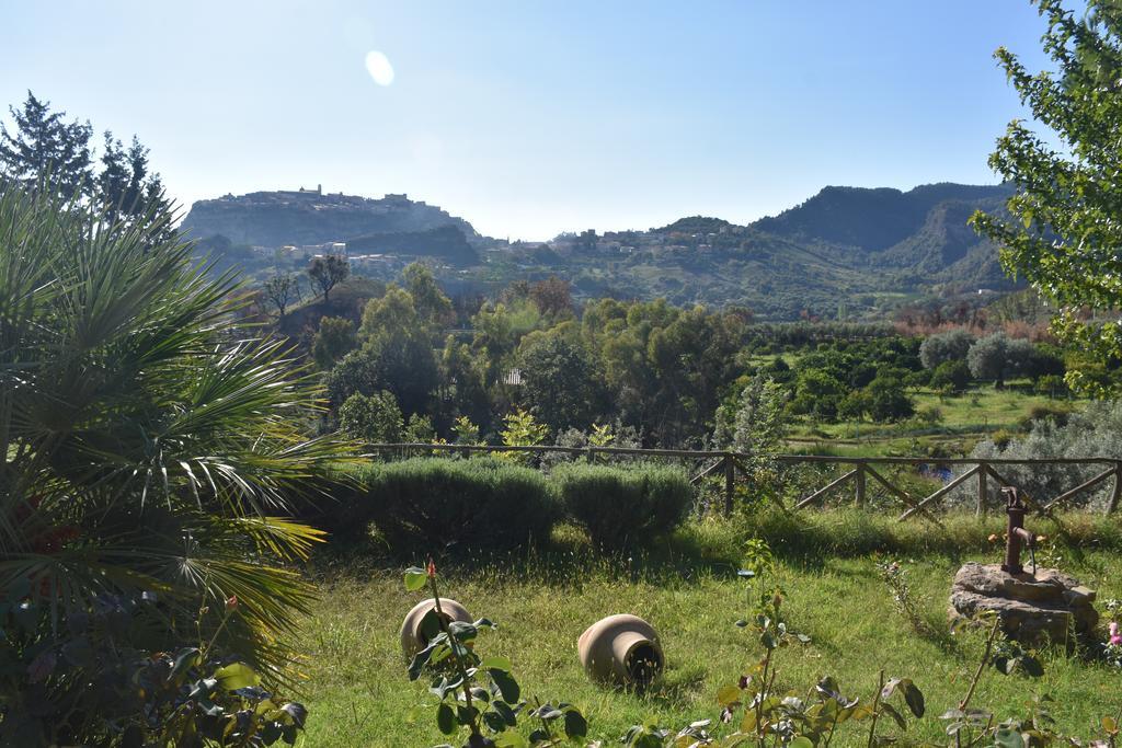 Azienda Agrituristica Biologica Il Querceto Santa Severina ภายนอก รูปภาพ