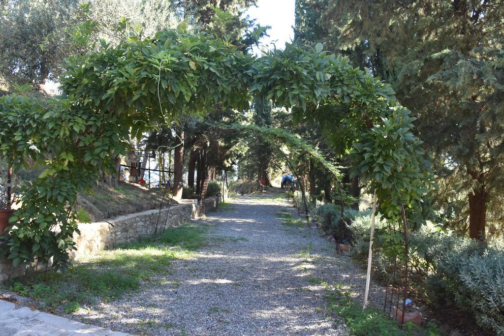 Azienda Agrituristica Biologica Il Querceto Santa Severina ภายนอก รูปภาพ
