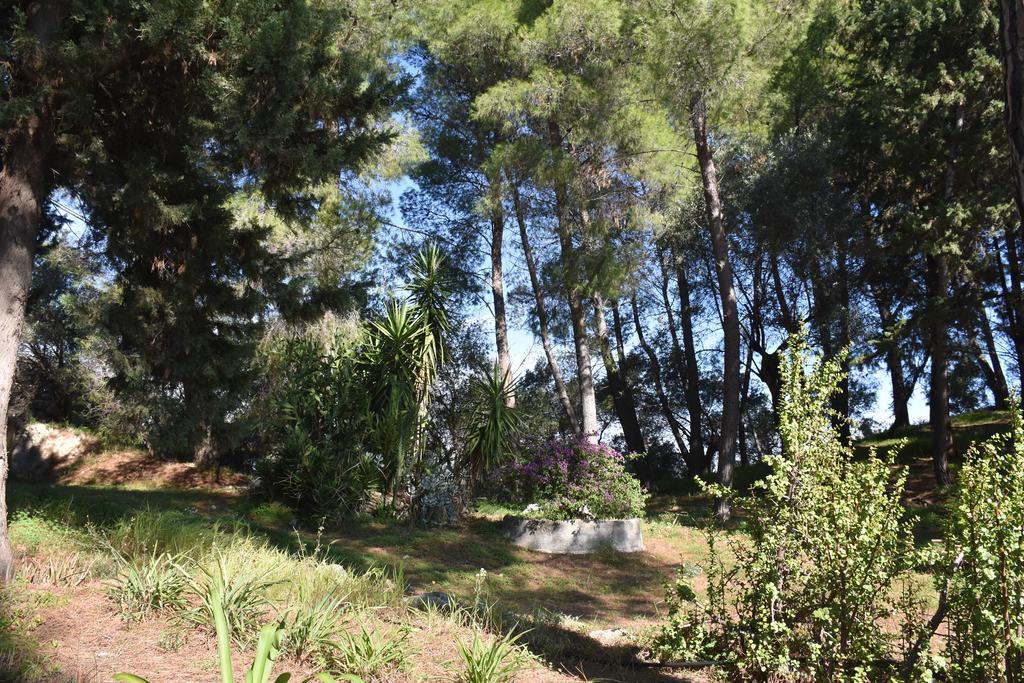 Azienda Agrituristica Biologica Il Querceto Santa Severina ภายนอก รูปภาพ